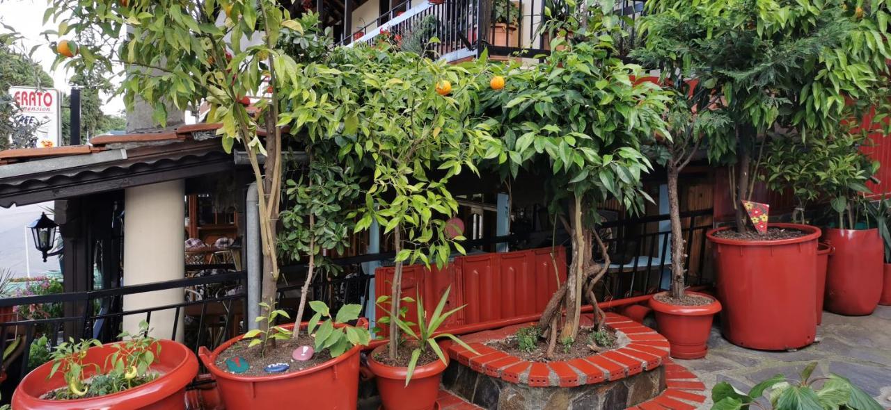 ניו פנטלימונאס Apartments Erato מראה חיצוני תמונה