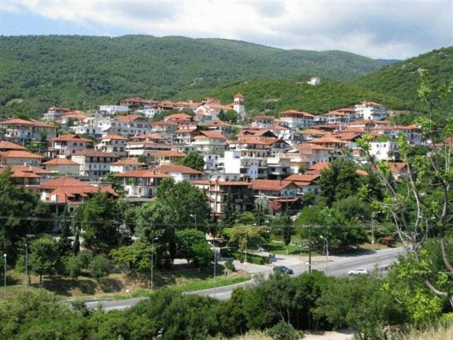 ניו פנטלימונאס Apartments Erato מראה חיצוני תמונה